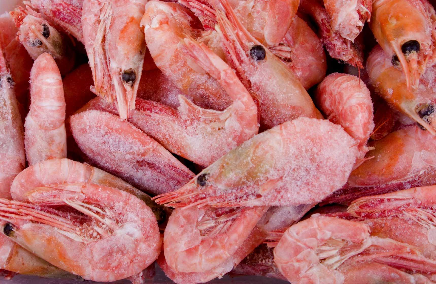 AT_Case_Frozen shrimp r 2.jpg