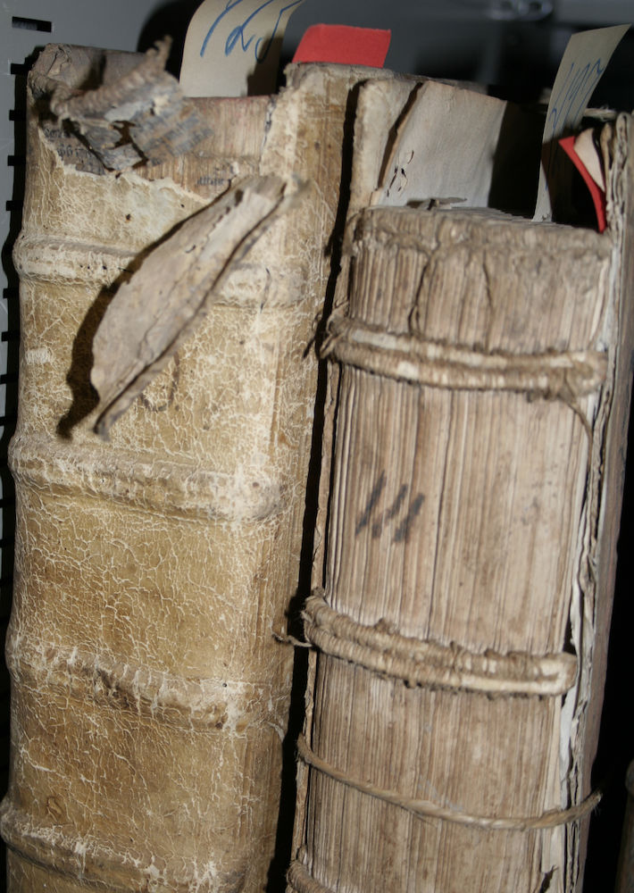 AT_Case_linnebooks.jpg