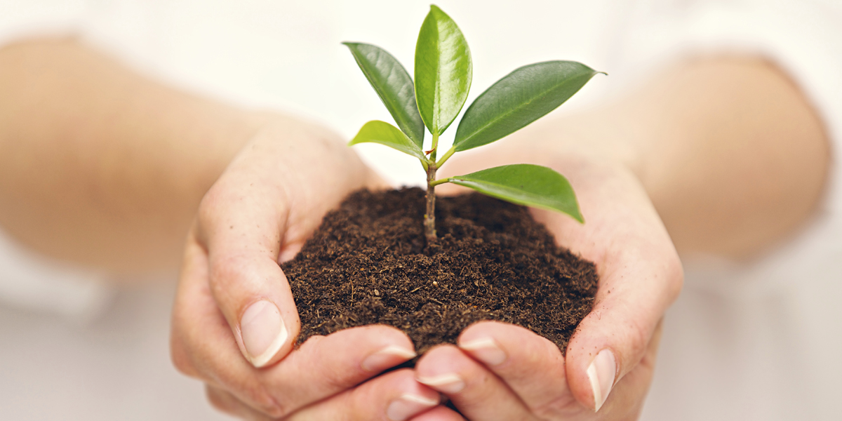Handful of soil with young plant growing_Thinkstock_465667055_1200x600.jpg
