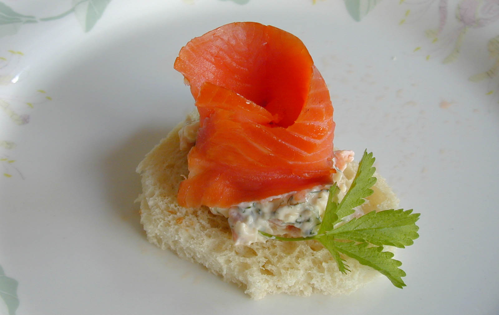 AT_Case_salmon1.jpg
