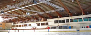 带加热盘管的工业转轮除湿机改善比利时室内滑冰场冰面环境质量